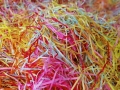 Easter shreds